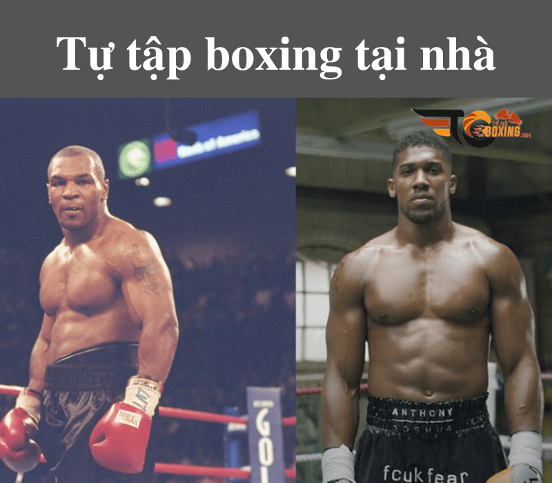 Tự tập boxing tại nhà cho người mới bắt đầu