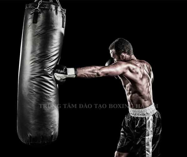 Top 5 trung tâm dạy boxing uy tín tại TP Hồ Chí Minh 2024