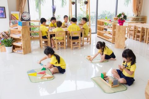 Montessori Việt Nam Academy – tư vấn setup trường mầm non Montessori tư thục chất lượng cao