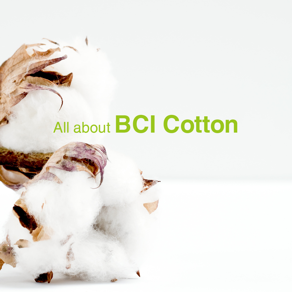 BCI Cotton - chất liệu tiềm năng cho nỗ lực “xanh hóa” ngành thời trang toàn diện