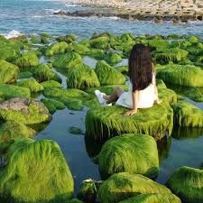 Biển Cổ Thạch Bình Thuận có đẹp không? 5 lưu ý khi đi biển Cổ Thạch