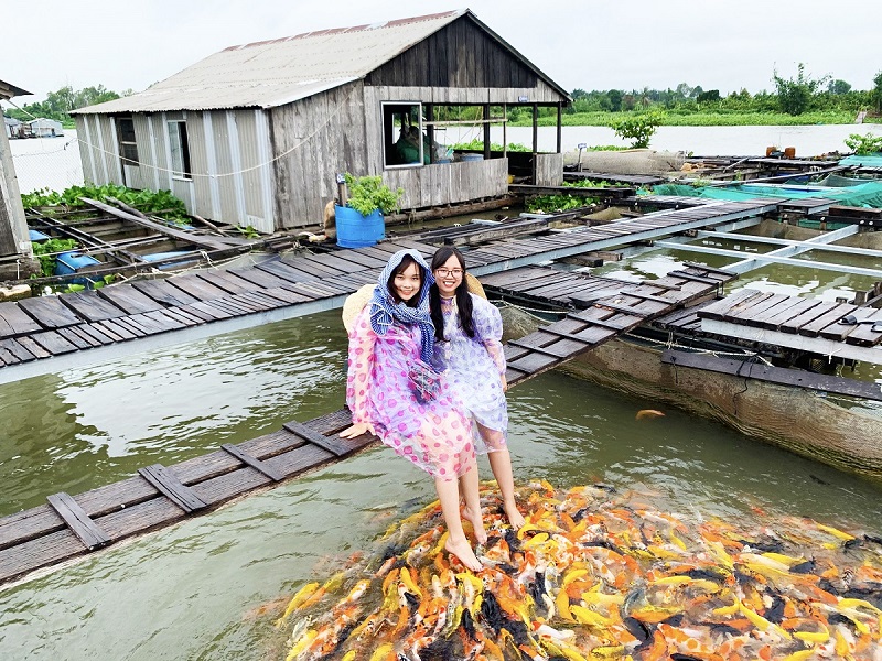 Hồ nuôi cá koi tại làng du lịch Cồn Sơn