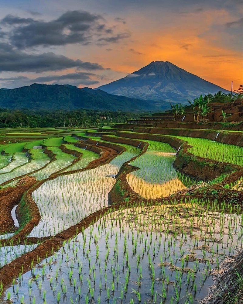 mù cang chải tháng....