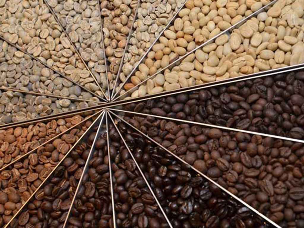 Cà phê hạt cà phê Cốc cà phê cà phê nền vật liệu che bóng lý lịch Chất  liệu nền png  PNGEgg