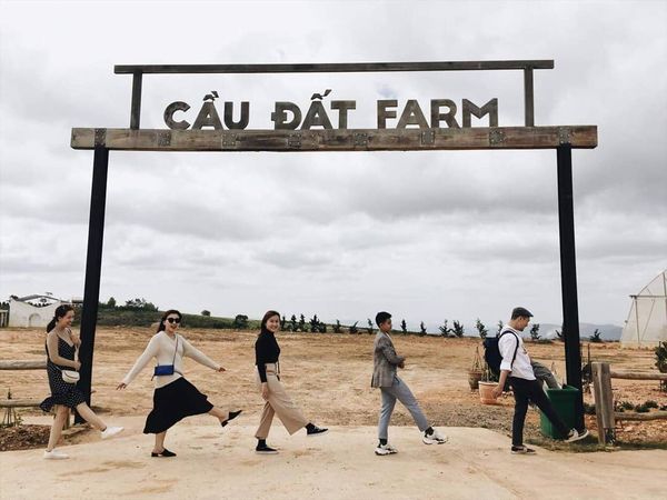 CÁC ĐIỂM CHECK IN CỰC HOT TẠI ĐỒI CHÈ CẦU ĐẤT - CẦU ĐẤT FARM - Cầu Đất Farm