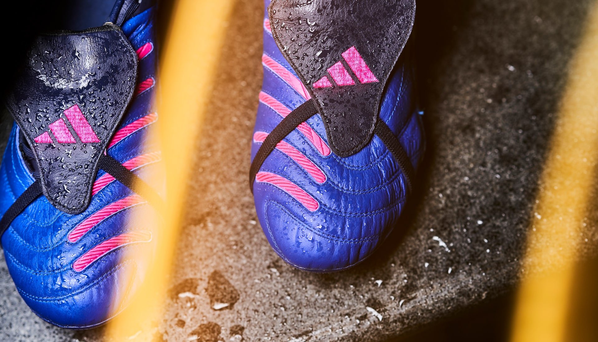 Giày đá banh adidas Predator Pulse UCL Pack