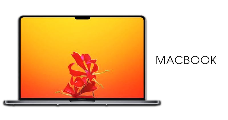 Macbook trong tương lai sẽ có thêm  phần tai thỏ