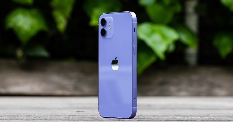 iPhone 12 màu Tím đẹp xuất sắc như vậy, nên mua luôn hay chờ iPhone 13?