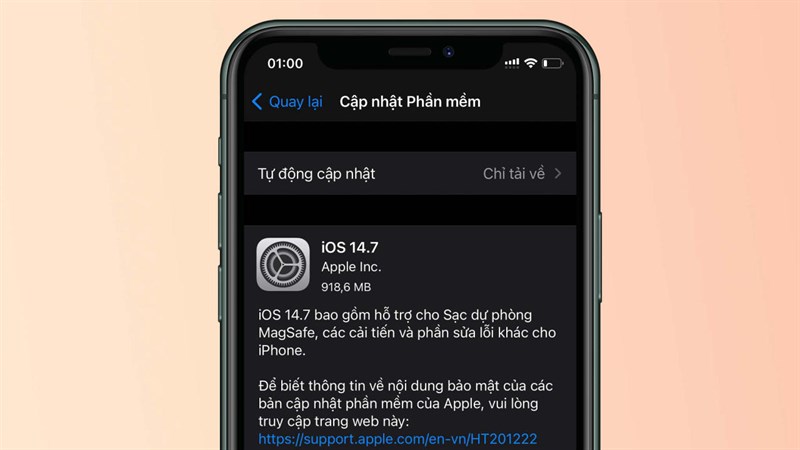Cần lưu ý gì trước khi cập nhật iOS 14.7 cho iPhone để tránh phiền phức khi sử dụng? hình ảnh 3