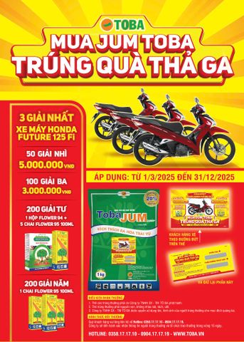 TRIỂN KHAI CHƯƠNG TRÌNH KHUYẾN MẠI 