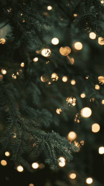 Feliz Navidad - Đại tiệc Giáng Sinh 2023