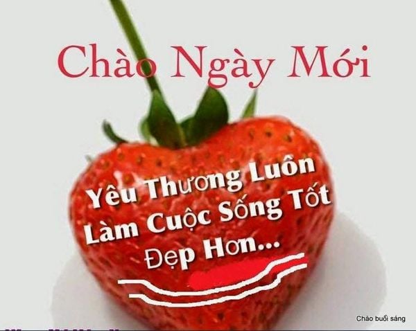 Những Câu Nói Hay Cho Ngày Mới Đầy Ý Nghĩa – Maytinhgoodm.com