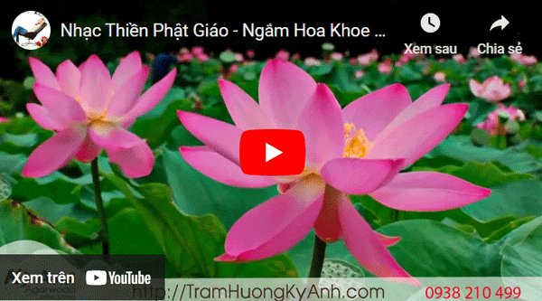 Khoảnh Khắc Hoa Nở