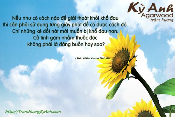 CHUYỂN HÓA KHỔ ĐAU