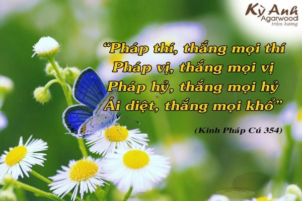 Pháp Thí Thắng Mọi Thí