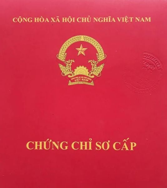 Hình ảnh minh họa chứng chỉ vận hành xe nâng người