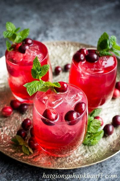 Hạt giống nam việt quất mua ở đà nẵng
