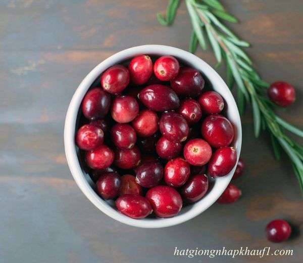 mua hạt giống việt quất đỏ ở hà nội