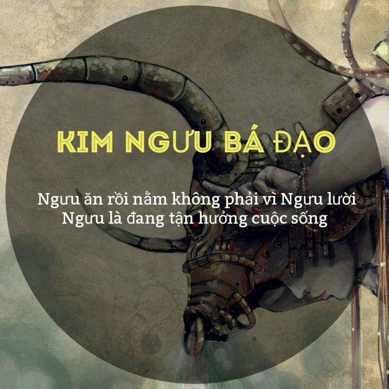 QUÀ TẶNG SINH NHẬT CHO NGƯỜI CUNG KIM NGƯU