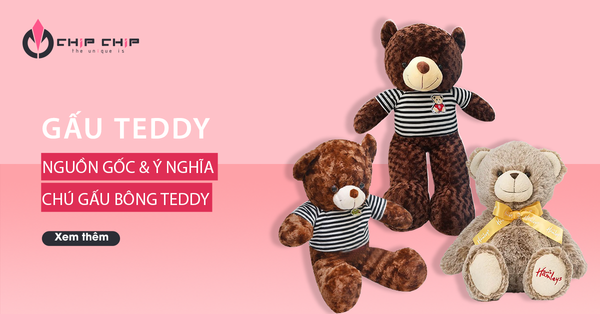 Bạn Có Biết Nguồn Gốc Và Ý Nghĩa Của Chú Gấu Bông Teddy