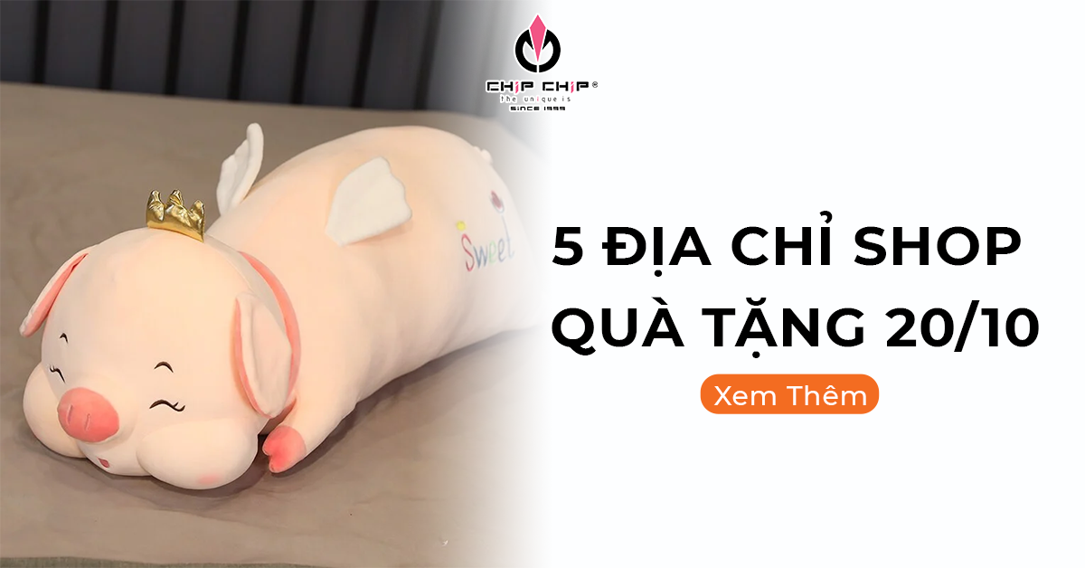 Top 5 Địa Chỉ Shop Quà Tặng 20/10 Đẹp Nhất Quận 10 2022