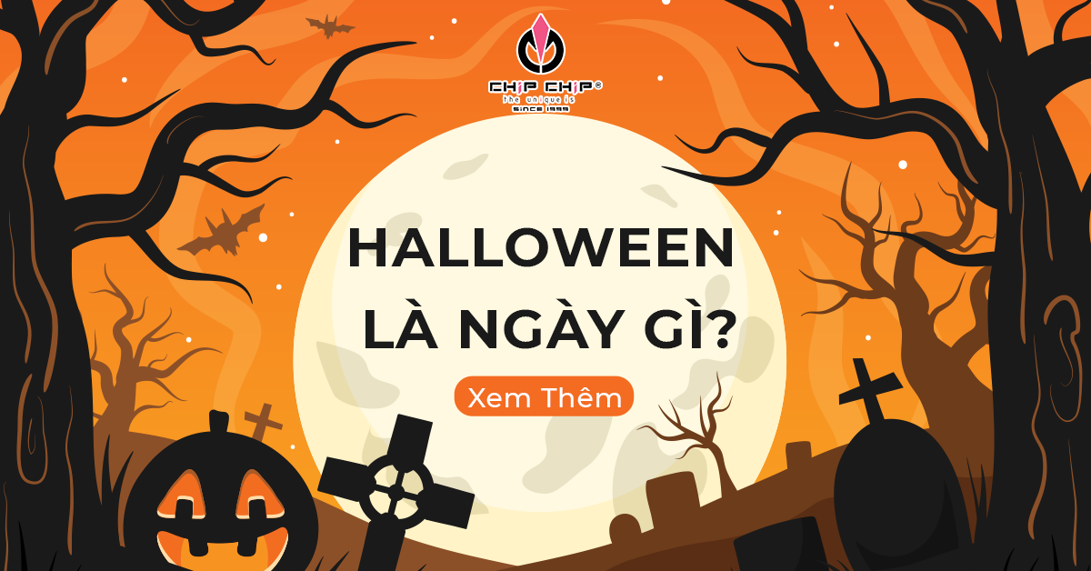 Halloween Là Ngày Gì? Nguồn Gốc Và Ý Nghĩa Thực Sự