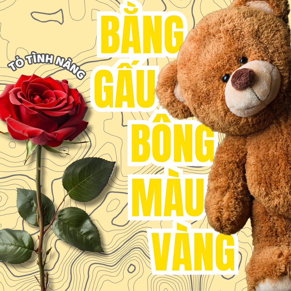 TỎ TÌNH NÀNG BẰNG GẤU BÔNG MÀU VÀNG ĐƯỢC KHÔNG?