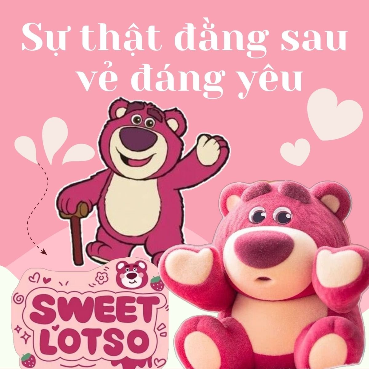 Gấu Lotso: Sự thật đằng sau vẻ ngoài đáng yêu