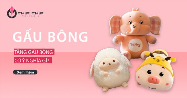 Tặng Gấu Bông Có Ý Nghĩa Gì? Cách Gói Gấu Bông Siêu Dễ Dàng