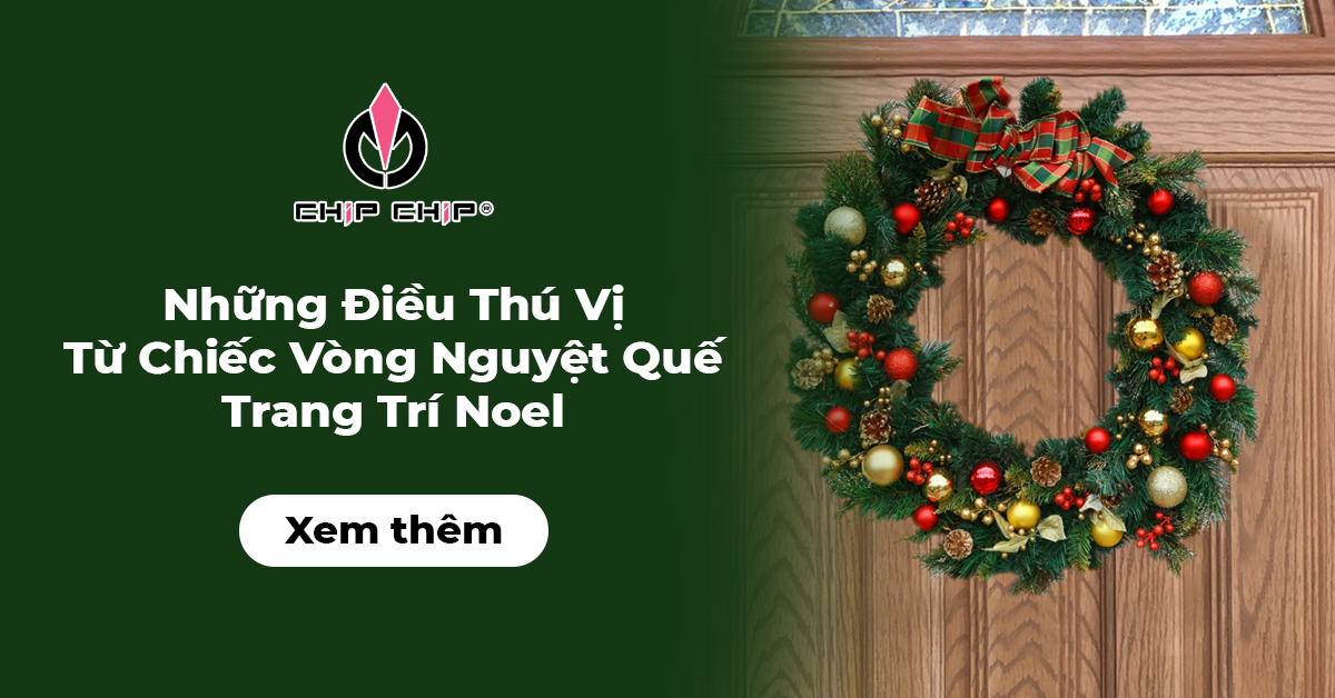 Những Điều Thú Vị Từ Chiếc Vòng Nguyệt Quế Trang Trí Noel