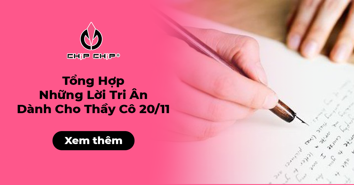 Tổng Hợp Những Lời Tri Ân Dành Cho Thầy Cô 20/11