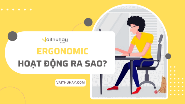 Ergonomic hoạt động ra sao?