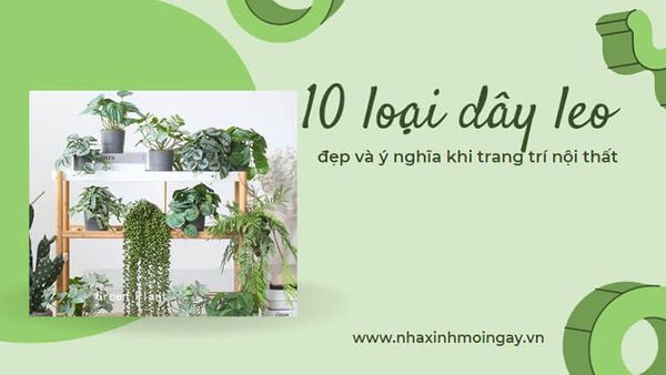 10 loại cây giả trang trí treo tường đẹp và ý nghĩa khi trang trí nội thất