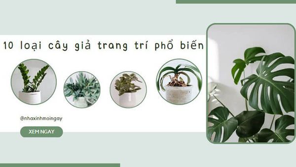 10 loại cây giả trang trí phổ biến decor trong nhà