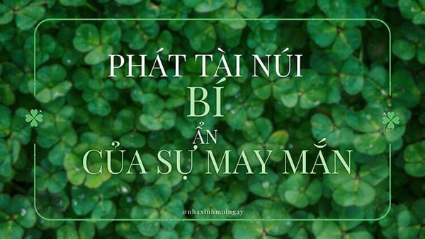 cây phát tài núi - bí ẩn của sự may mắn
