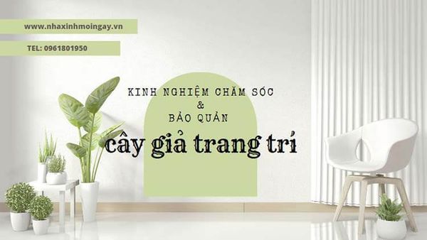 Kinh nghiệm chăm sóc và bảo quản cây giả trang trí hiệu quả