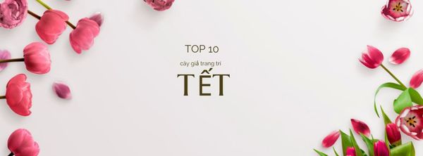 Top 10 Cây Giả Trang Trí Tết Đẹp Và Ý Nghĩa Năm Nay