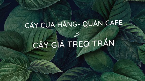Trang trí cửa hàng, quán cafe với cây giả treo rủ trần