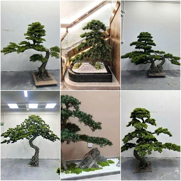 Cây tùng giả có ý nghĩa gì trong phong thủy?