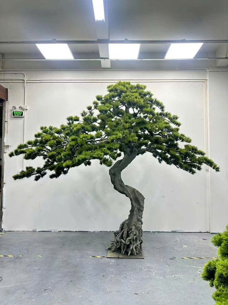 địa chỉ bán cây tùng giả trang trí