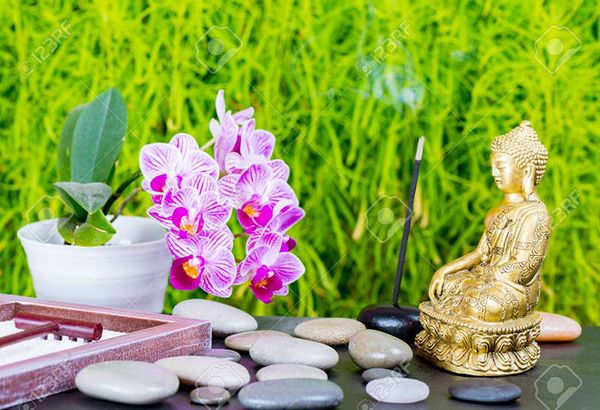 [BÍ MẬT] Phong thủy về loài hòa lan hồ điệp