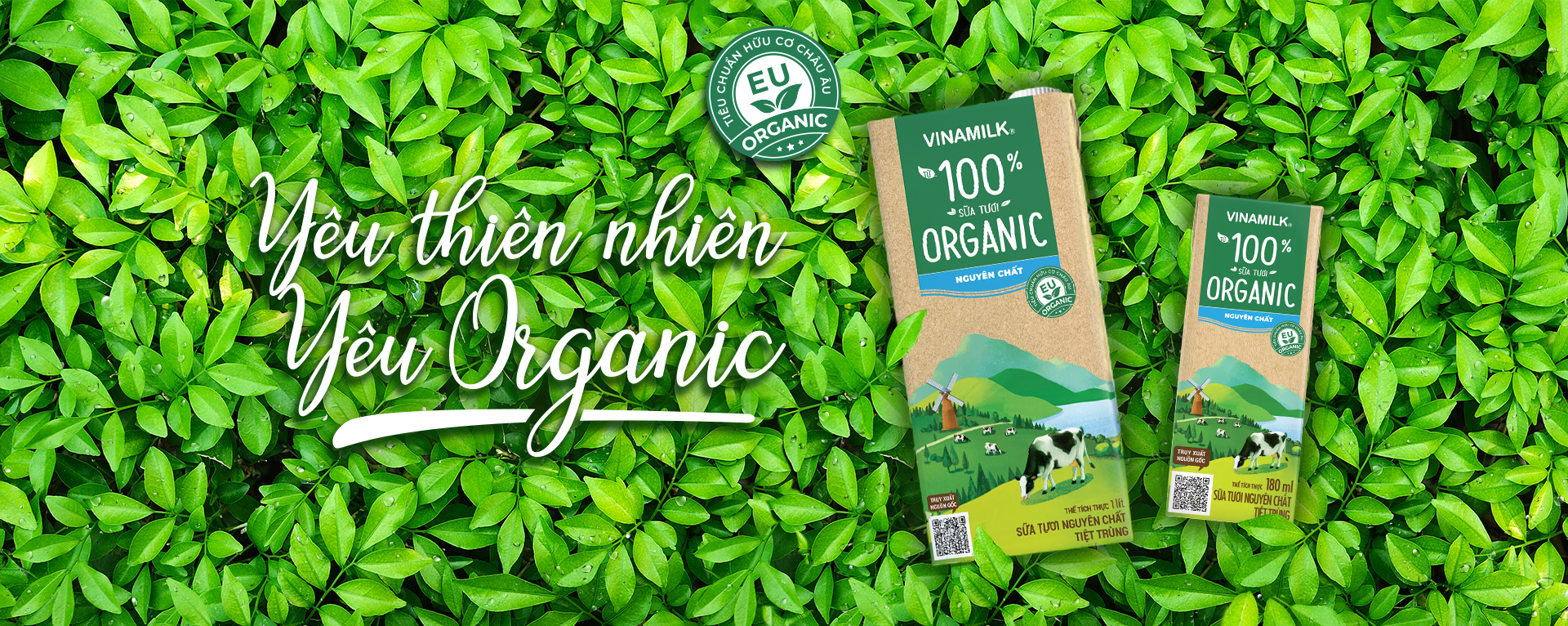 [SỮA TƯƠI TIỆT TRÙNG] 100% ORGANIC 180ML