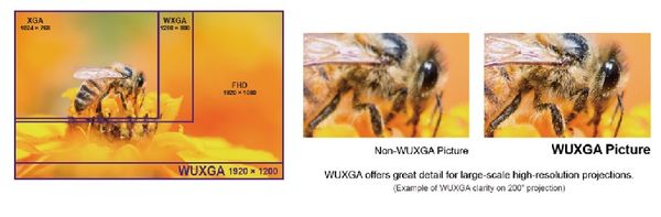 do-phan-giai-wxga
