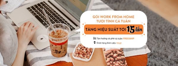 TĂNG NĂNG SUẤT GẤP 15 KHI LÀM VIỆC TẠI NHÀ VỚI GÓI WORK FROM HOME TƯƠI TỈNH/TƯƠI MÁT - FREESHIP CẢ THÁNG