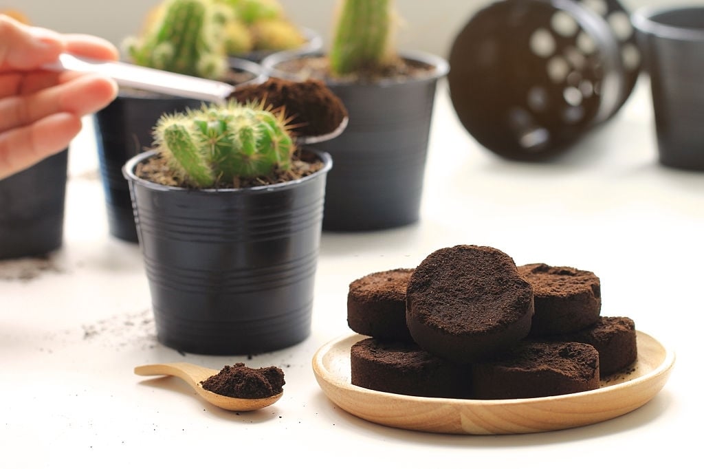 SỐNG XANH CÙNG CÀ PHÊ