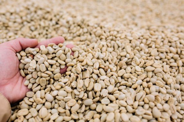 NÊN MUA CÀ PHÊ XAY SẴN HAY CÀ PHÊ HẠT?