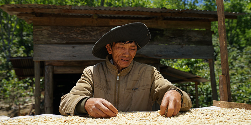 GIẤC MƠ CÀ PHÊ TẠI THE COFFEE HOUSE