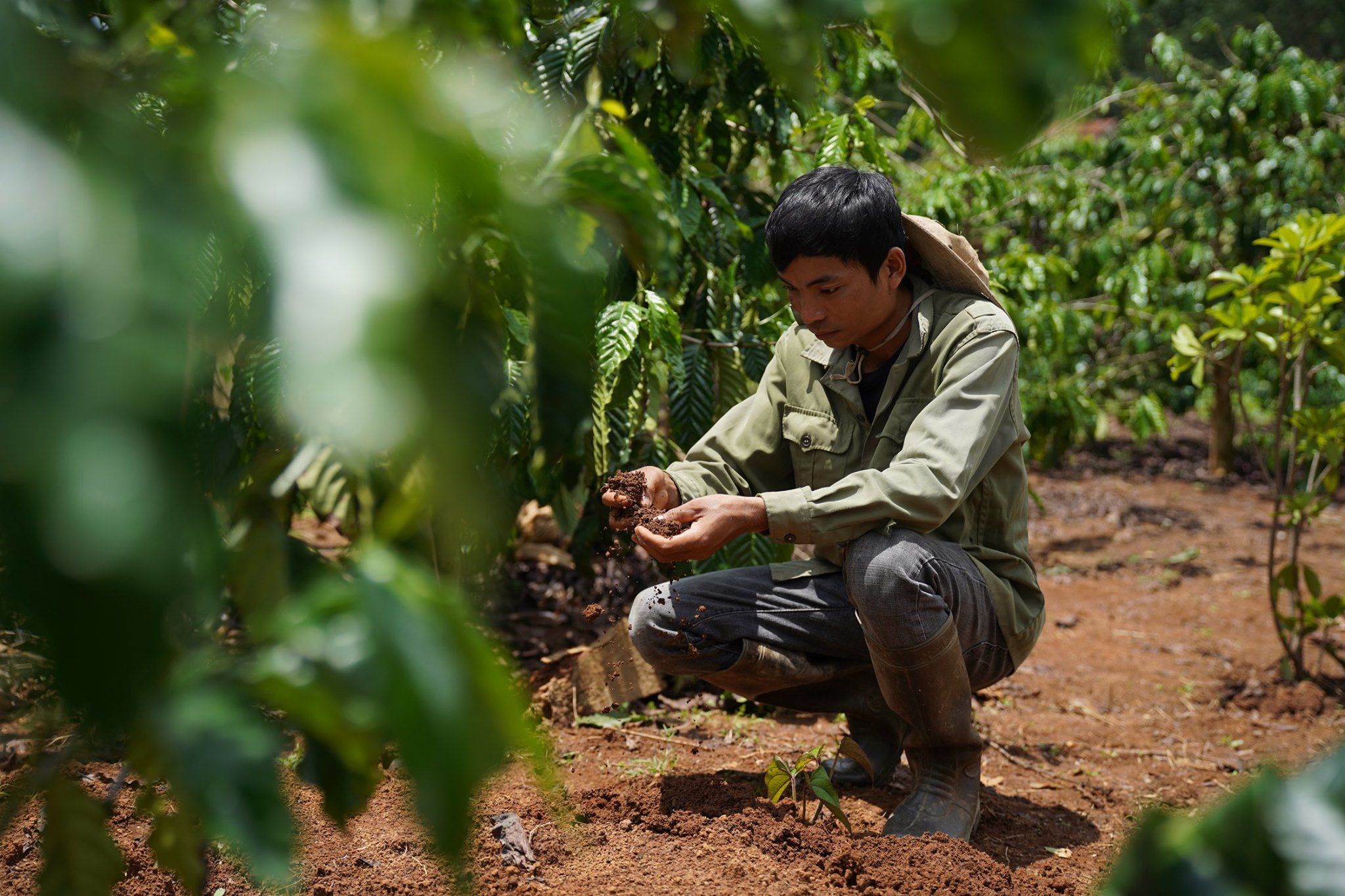 CƠ HỘI NGHỀ NGHIỆP TRONG NGÀNH CÀ PHÊ TẠI VIỆT NAM