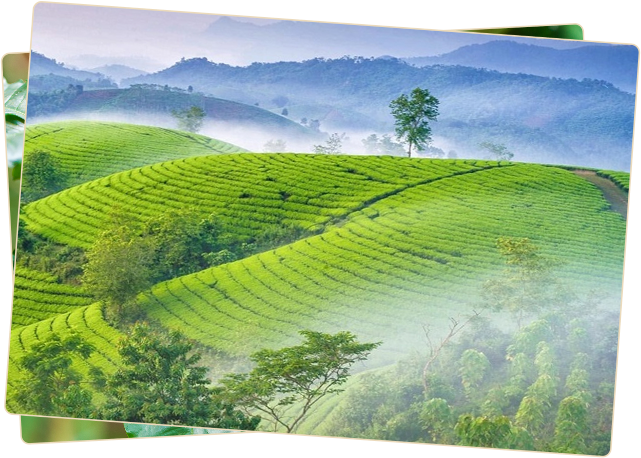 chat luong khoi nguon tu nhung doi tra tuyen chon