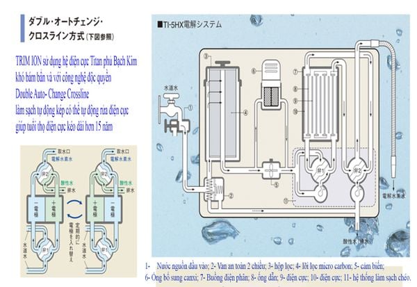 Máy Lọc Nước Điện Giải Ion Kiềm Trim Ion TI-5HX - Kangen Sen Việt